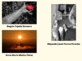 III Concurso de fotografía de ALCER Granada