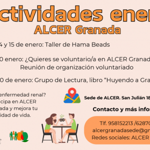 Actividades de enero 2025