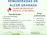 Prácticas remuneradas en ALCER Granada